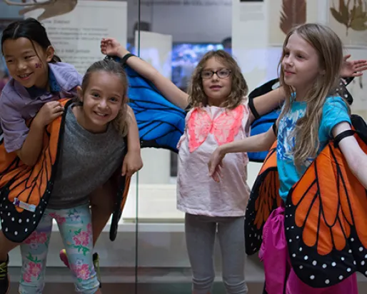 Four children stand with monarch wing costumes in front of an exhibit in the Schad Gallery at the ROM. Photo by Fatima Ali
