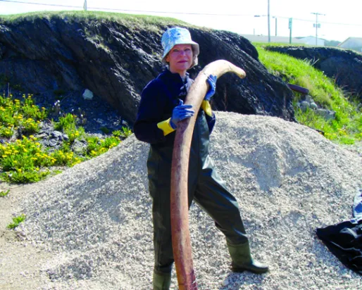 A photograph of a woman holding a bone of a blue whale.
