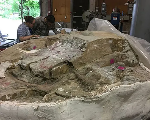 Photo of two people looking at a big block containing rock and a dinosaur fossil