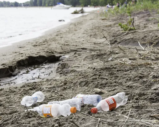 Plastic pollution found at Turkey Point on Lake Erie. Photo credit: Cristina Bergman
