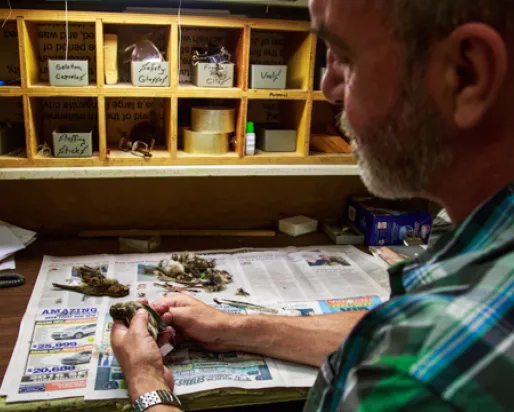 Brad Millen, technicien du ROM, traite un spécimen d'oiseau qui sera ajouté aux collections du ROM. Photo de Samantha Stephens
