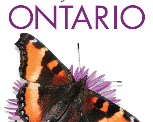 Butterflies of Ontario, Cover Image
