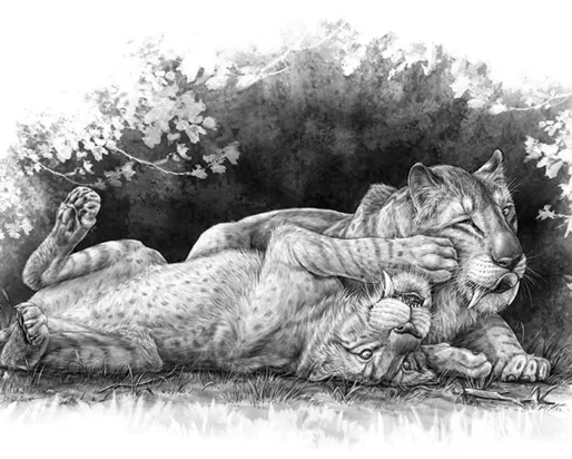 Sabre-toothed cubs playing.