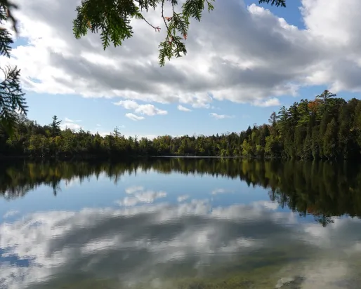 Crawford Lake © Craig Smith, 2023
Crawford Lake