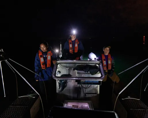 A team drives the electrofishing boat