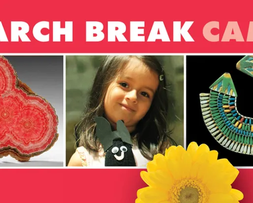 Camp de vacances de mars
