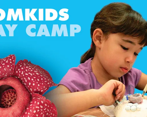 Camp de jour ROMKids
