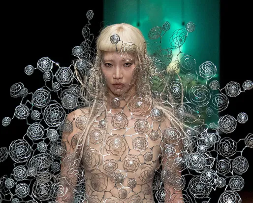 The Dome dress by Iris VanHerpen.
