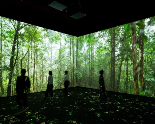 Image: Forest ecosystem projected with visitors watching

