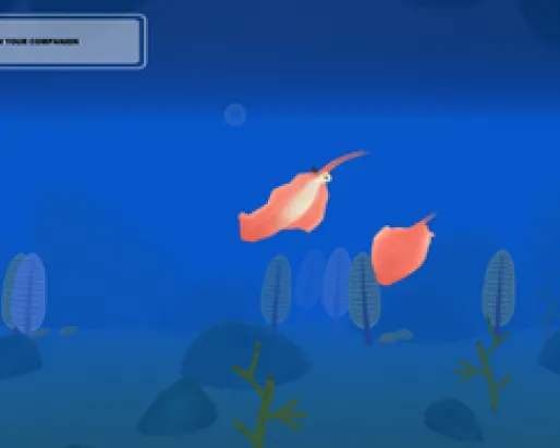 one creature follows another through the ocean
