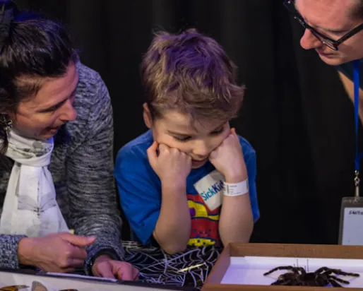 A child examines a spider specimen with adults
