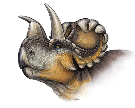 Reconstruction de la vie de Wendiceratops pinhornenis. Crédit : Danielle Dufault.