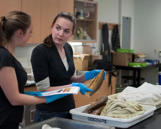 Deux femmes examinent un poisson lors d'un atelier d'identification.
