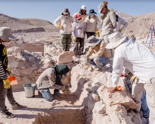 ROM fieldwork during the 2016 season at Quilcapampa. The ROM worked at the site from 2013 to 2017 and involved an international team from Peru, the United States, and Canada.