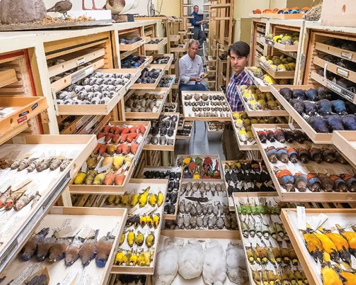 The Largest Bird Collection in Canada