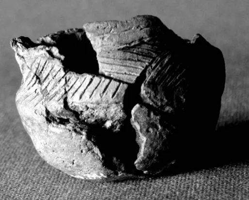 Mini pot from Toronto Underfoot 