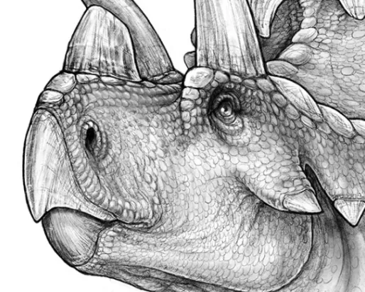 Dinosaur illustration New Dino Discovered