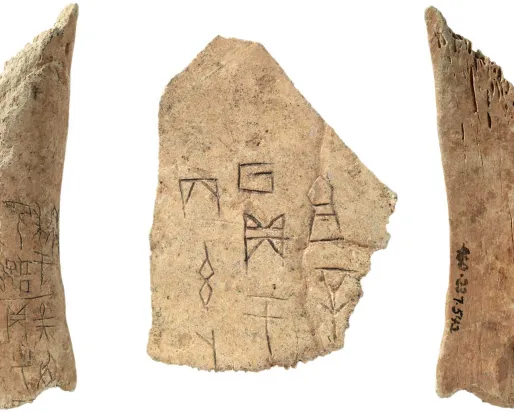 Os d'oracle (os inscrit), Dynastie Shang, Chine, 1400 - 1050 BCE, (960.237.2225, 960.237.542)
