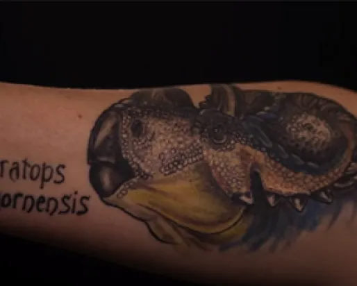 Tatouage d'un dinosaure, un Wendiceratops pinhornensis, sur l'avant-bras droit d'une femme.
