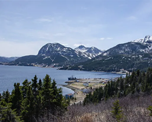 A view from a hillside of a small town on the ocean with mountains in the background.