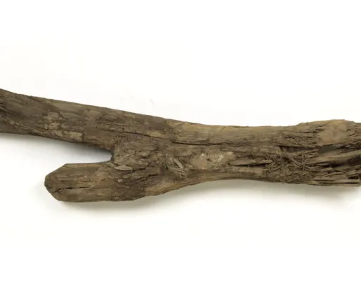 Piece of forked wood.