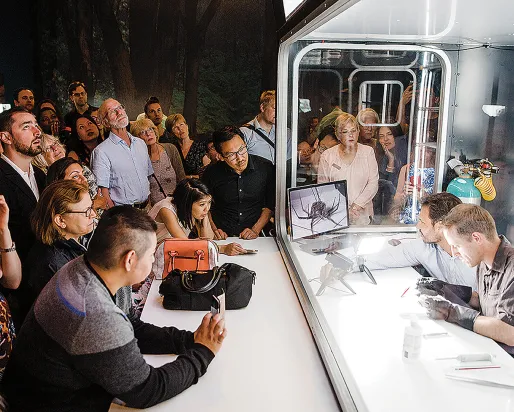 Wrangling Live Spiders