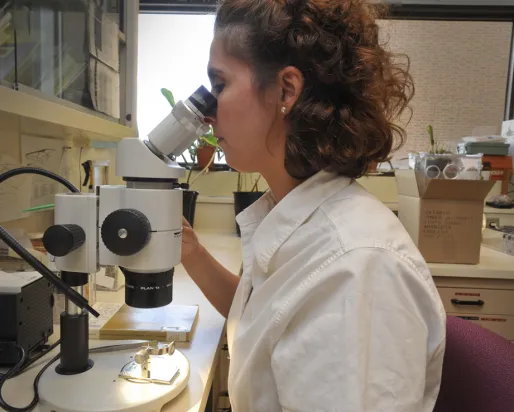Antonia Guidotti at microscope
