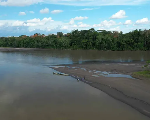 An overhead drone captures the WWF-Ecuador-funded research team in the field.