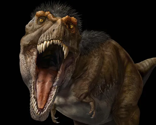 Front facing illustration of an adult T. rex with jaws open.