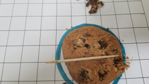 Chocolate chip cookie on grid paper, some chocolate chips removed or “mined” from the product beside it