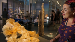 A visitor examines a mineral specimen