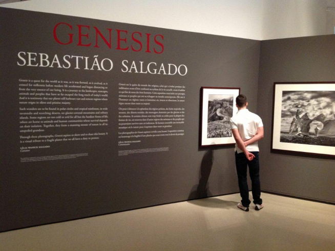 Image of gallery text for the GENESIS exhbition