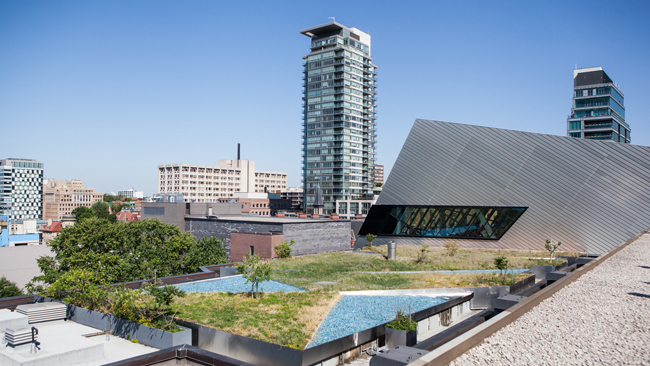 A wide view of the ROM Green Roof, facing North to the structure of the Crystal