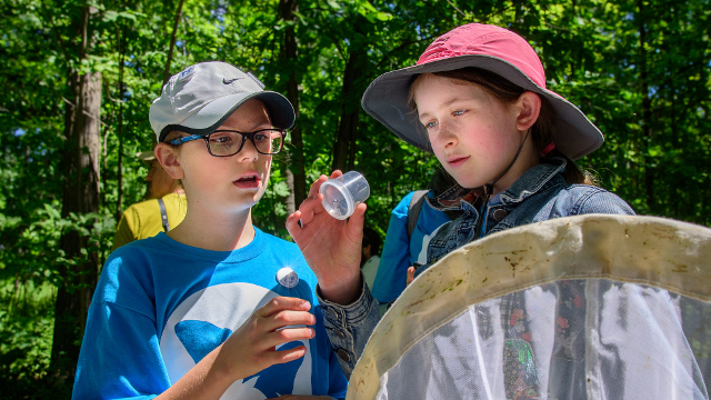 Two young girls peer into a jar at the insect they just captured with a net during a bioblitz. Photo by David Coulson