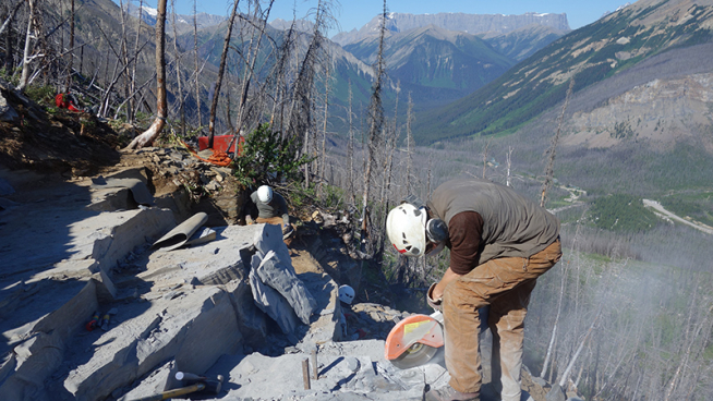 Students working at fossil site on the mountain side. 