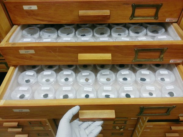 Ptolemaic seal impressions in collection storage drawers