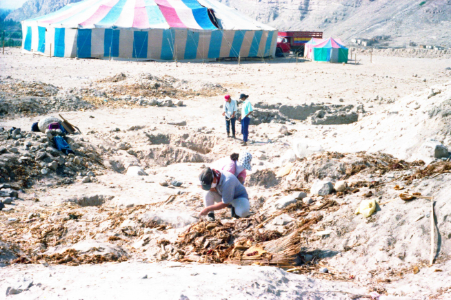 Figure 1. The site of La Real as it looked in 1995 when archaeologists first arrived — the circus was in town (photo courtesy of Marko Lopez)