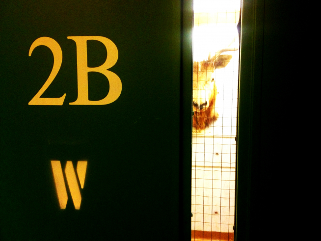 Image of door with text "2B"