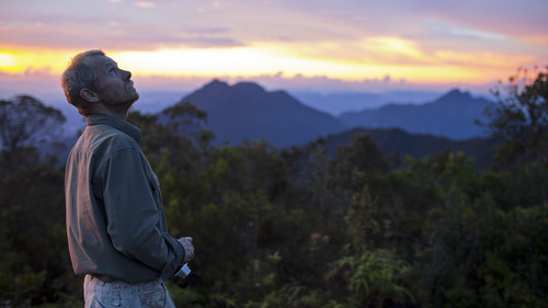 Entomologist Chris Darling looks at the mountain during sunset.