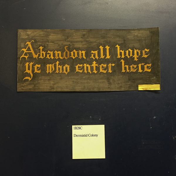 A photo of the sign posted outside the door of the ROM's dermestid beetle colony quotes Dante's Inferno, "Abandon all hope ye who enter here"