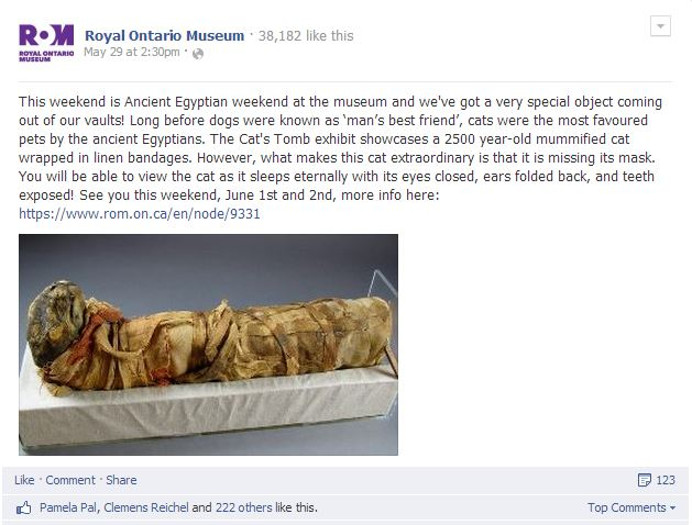 Our Cat Mummy goes on display