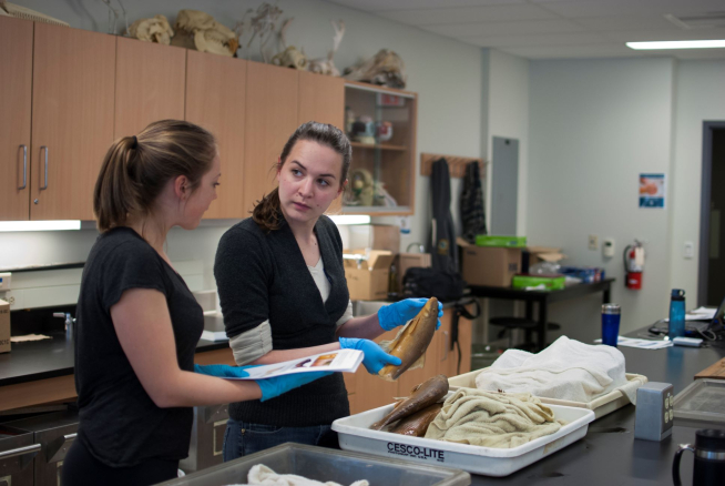 Researchers examine a fish at an identification workshop