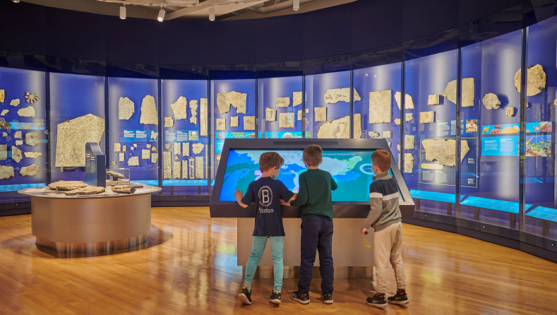 Children interact with a touchscreen in front of a curved wall case containing fossils.