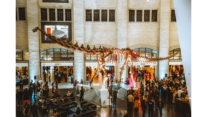 A picture of a stegosaurus skeleton in the middle of a crowd at Royal Ontario Museum