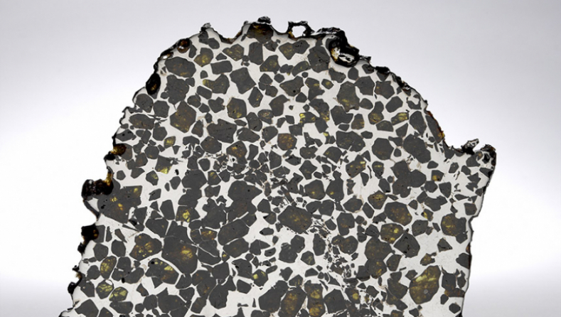 Une tranche de la météorite d’Esquel ayant l'apparence d'une pierre incrustée de métal gris et doré