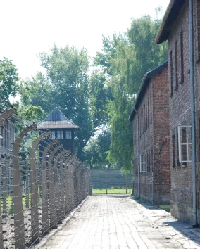  A camp street next to a fence. On the left are blocks 1 and 12. On the right—the commandant office building.