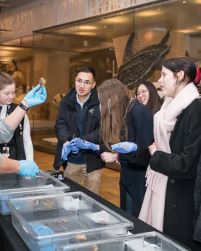 A group of ROM Members around a table with instuctor holding a specimen