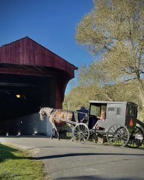 Horse and buggy entering Kissing Bridge 