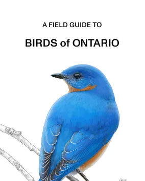 Birds of Ontario cover book