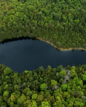Drone shot of Crawford Lake